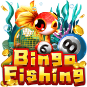 Bingo Fishing on Casino Plus App